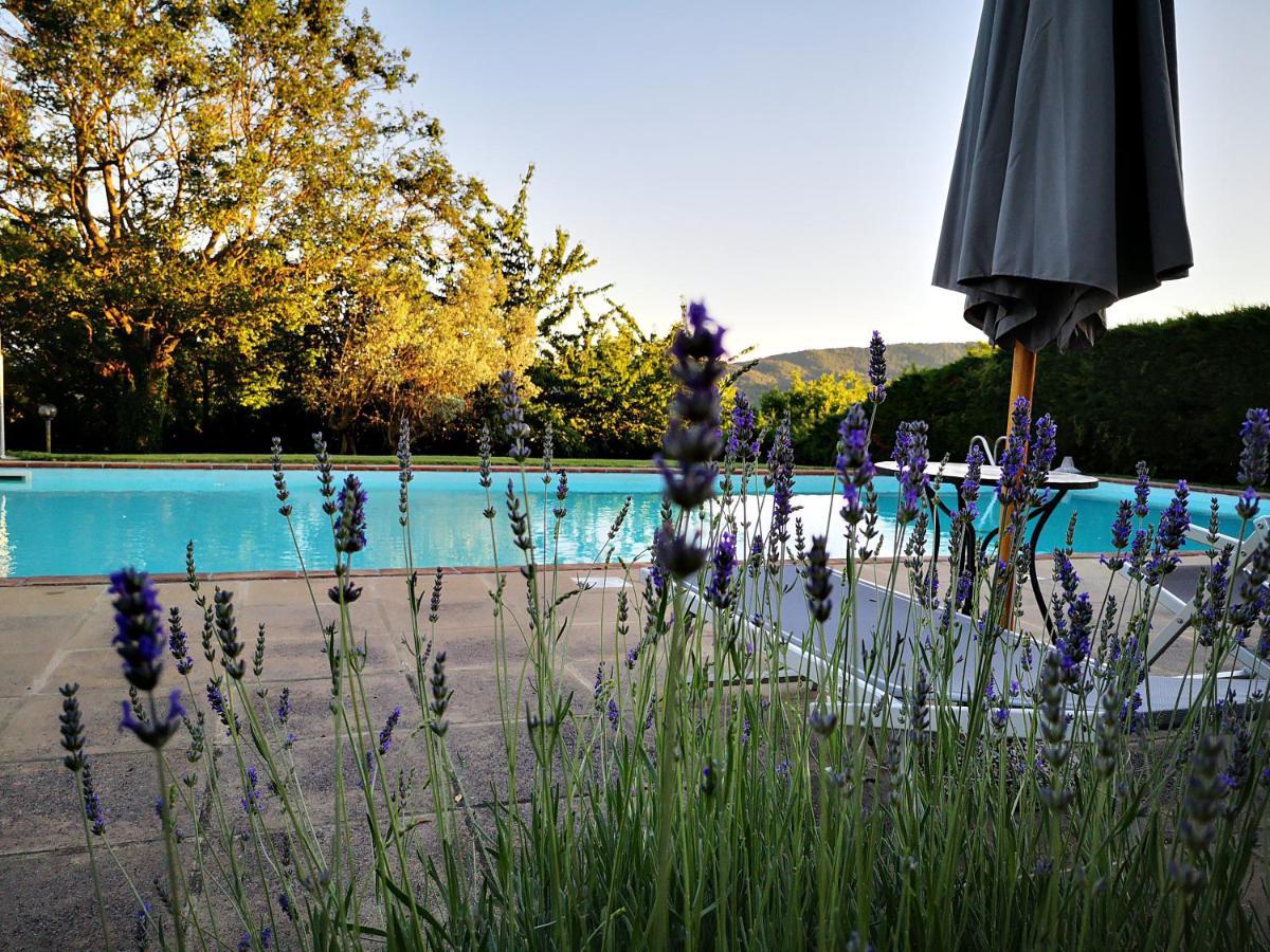 Agriturismo Grecinella Casole dʼElsa Zewnętrze zdjęcie