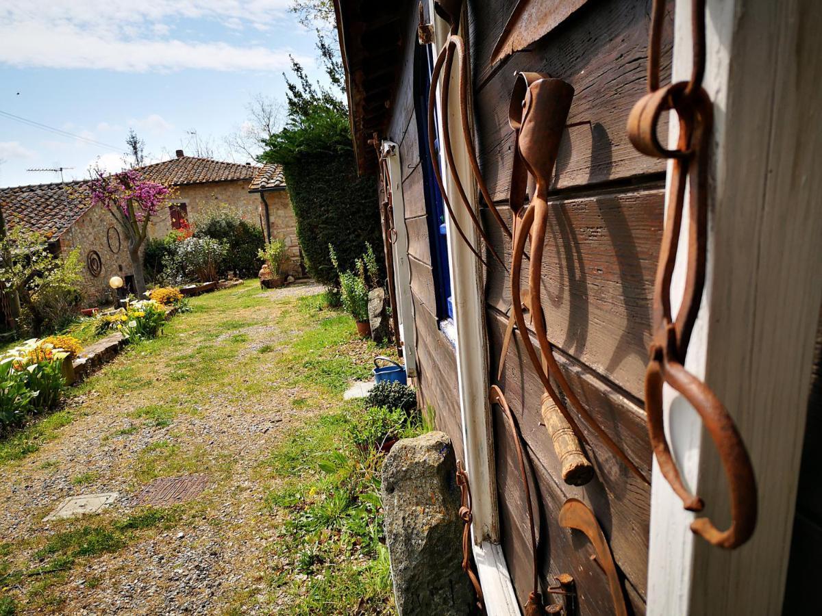 Agriturismo Grecinella Casole dʼElsa Zewnętrze zdjęcie